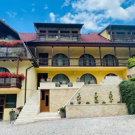 Pensiunea Aby Maison d'hôtes Sovata